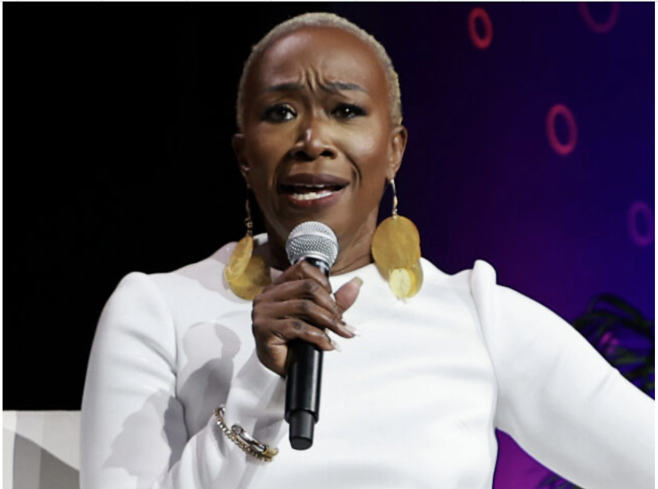 Joy Reid Says People of Color ‘Real Weird’ If They Don’t Back Harris!